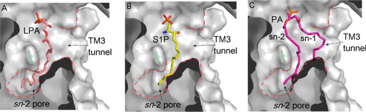 FIGURE 6.