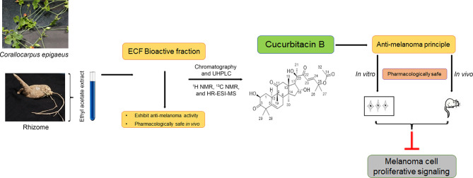 Figure 6