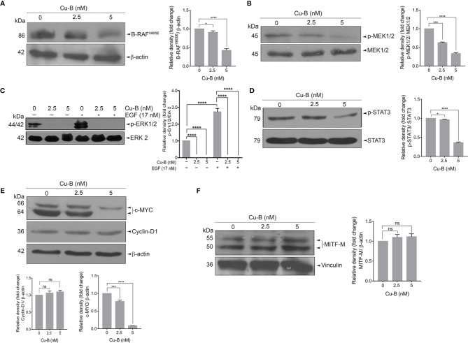 Figure 4