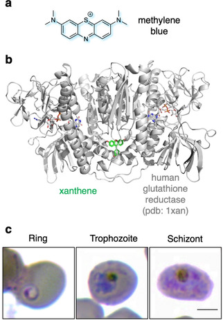 Figure 11