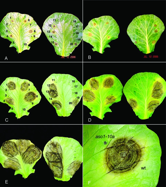 FIG. 5.