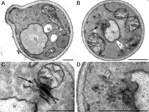 Figure 10.