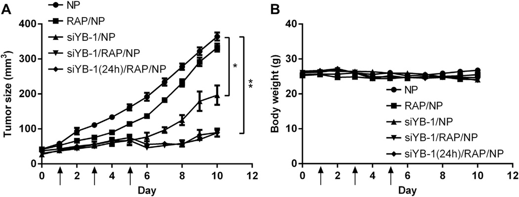 Fig. 10