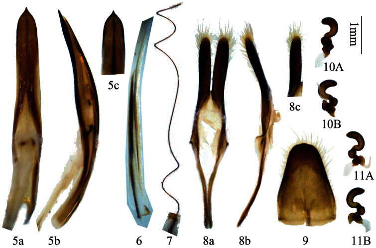 Figures 5–11.