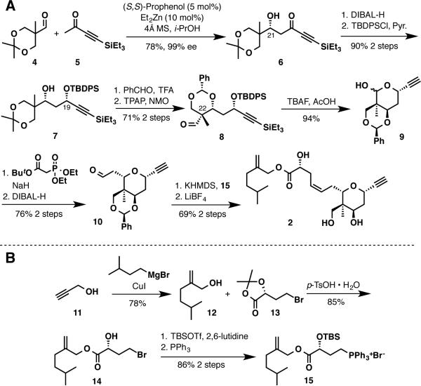 Scheme 2