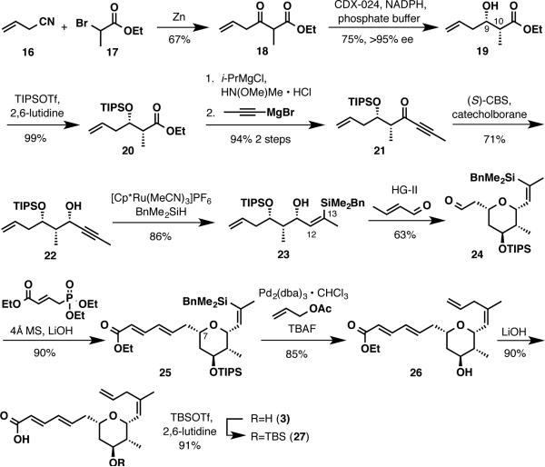 Scheme 3