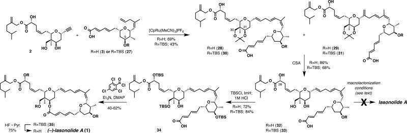 Scheme 4