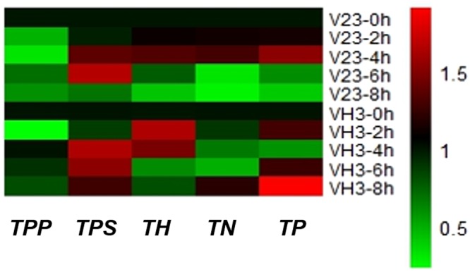 Figure 5