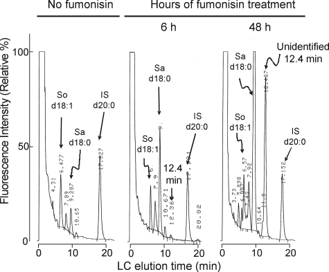 FIGURE 1.