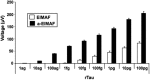 <b>FIG. 1.</b>