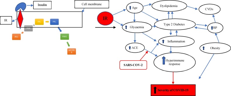 Fig. 2