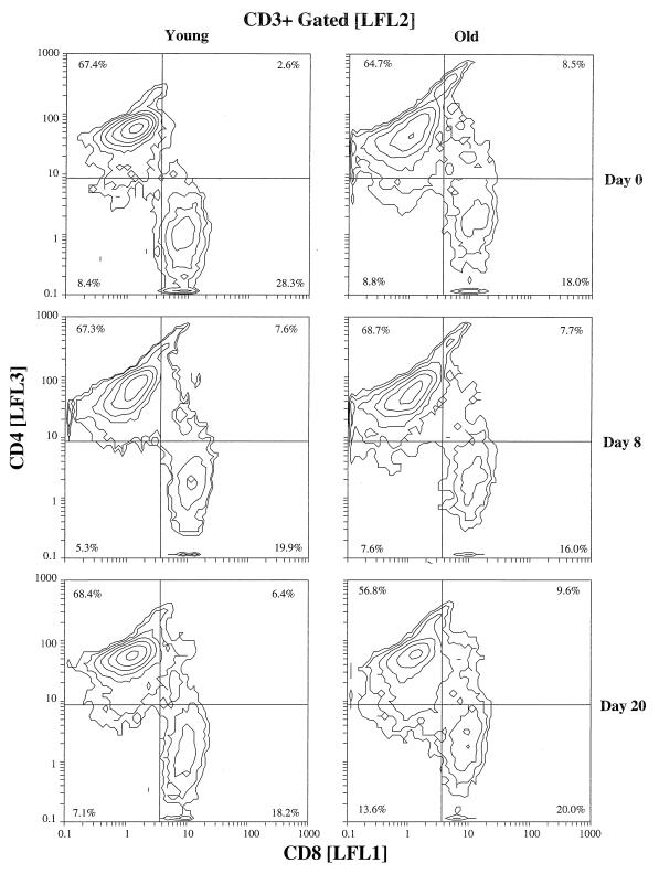 FIG. 1