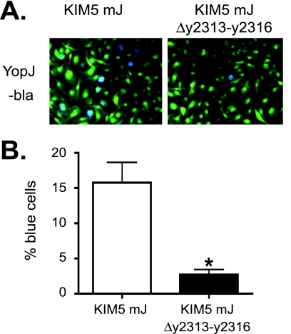 FIG. 7.