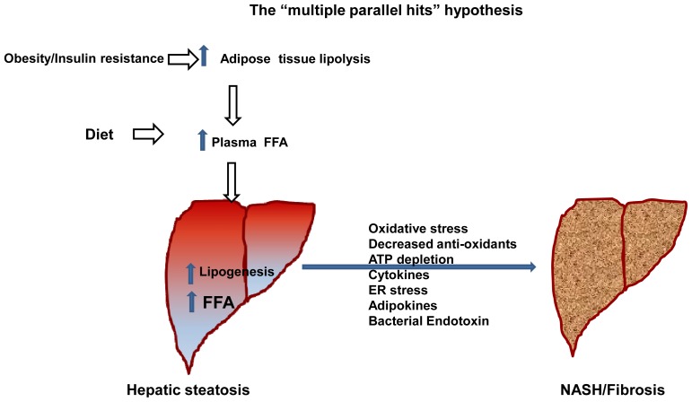 Figure 1.