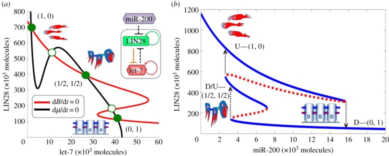 Figure 2.