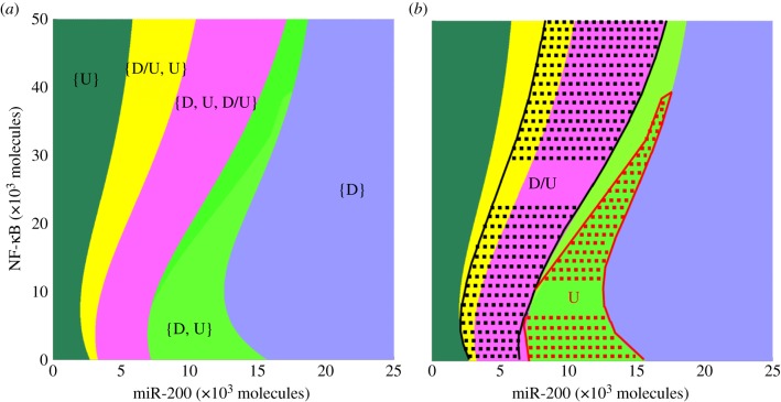 Figure 5.