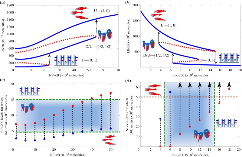 Figure 4.