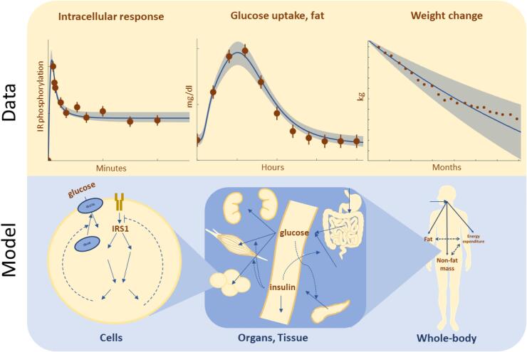 Fig. 4