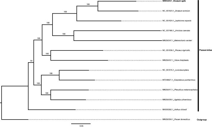 Figure 1.