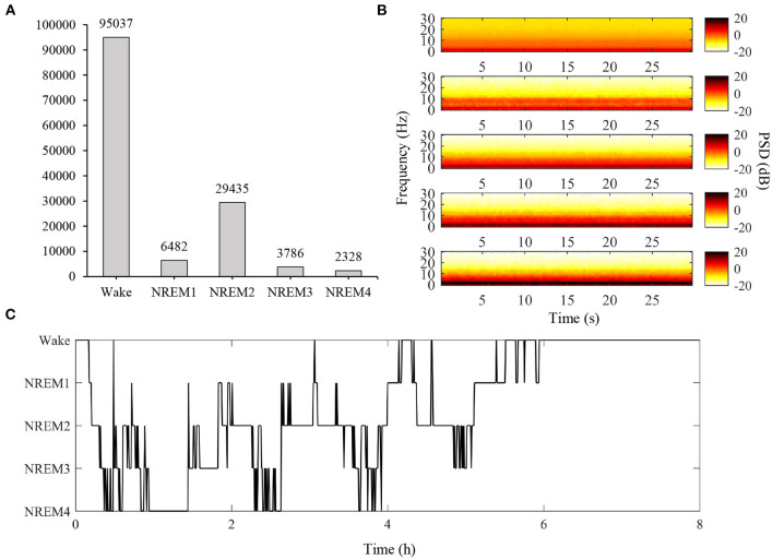 Figure 4