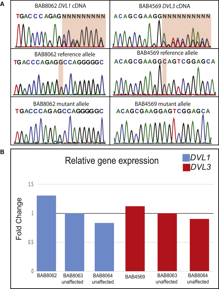 Figure 3