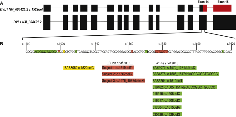 Figure 1