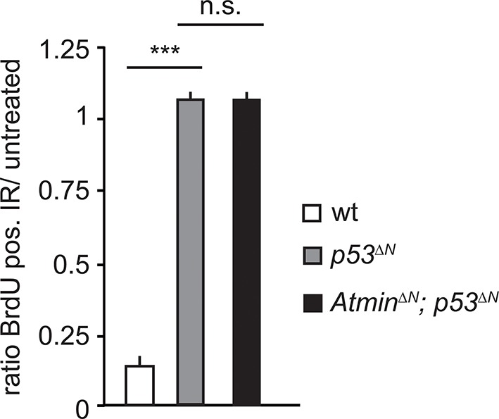 Figure 2—figure supplement 5.