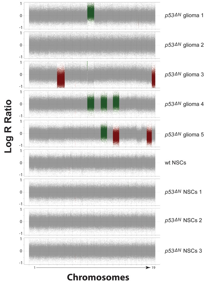 Figure 1—figure supplement 3.