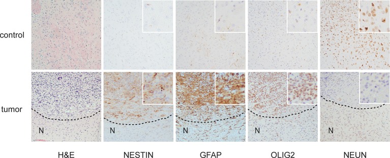 Figure 1—figure supplement 2.