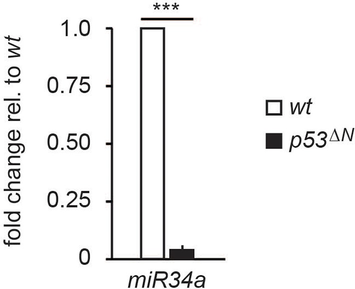 Figure 3—figure supplement 6.