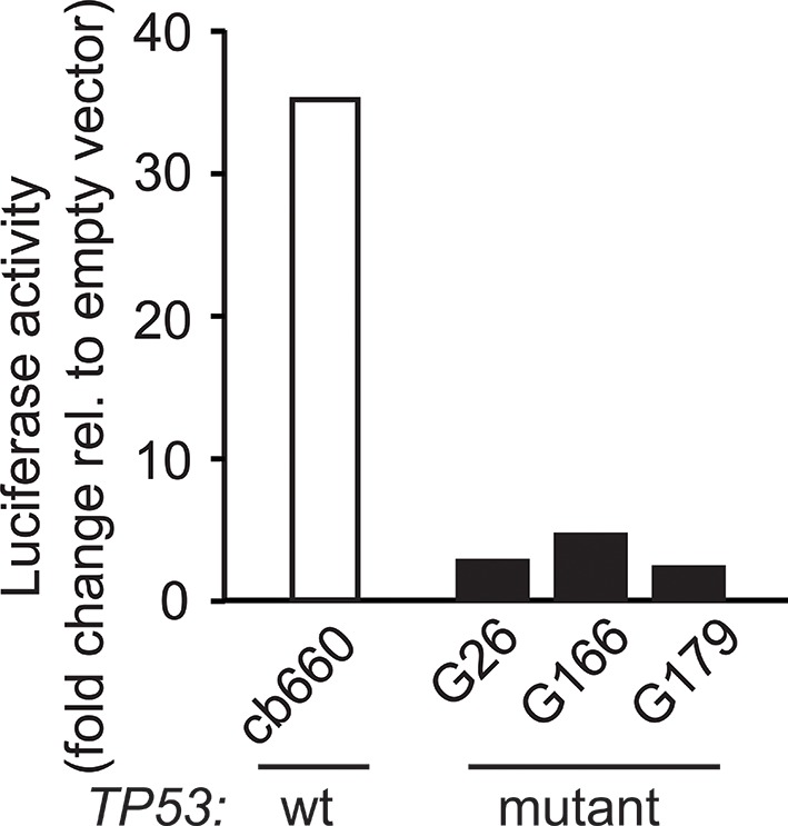 Figure 6—figure supplement 1.