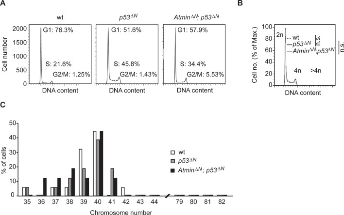 Figure 2—figure supplement 4.