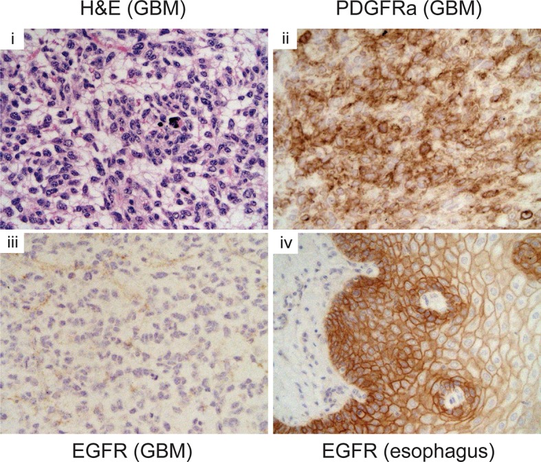 Figure 3—figure supplement 2.