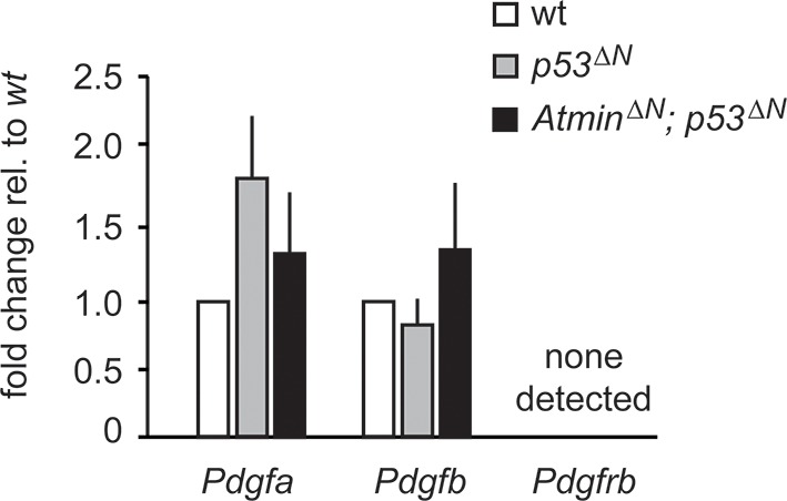 Figure 3—figure supplement 4.