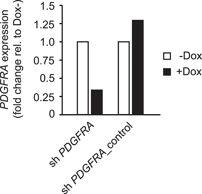 Figure 6—figure supplement 5.