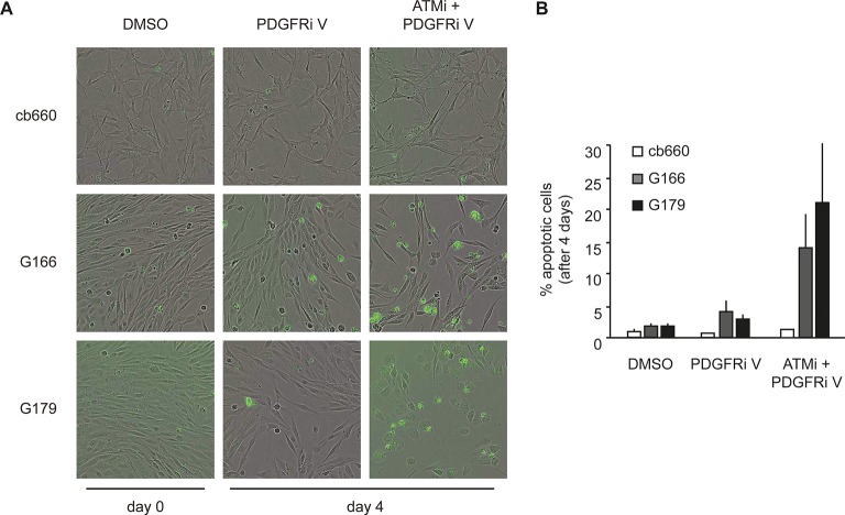 Figure 7—figure supplement 3.