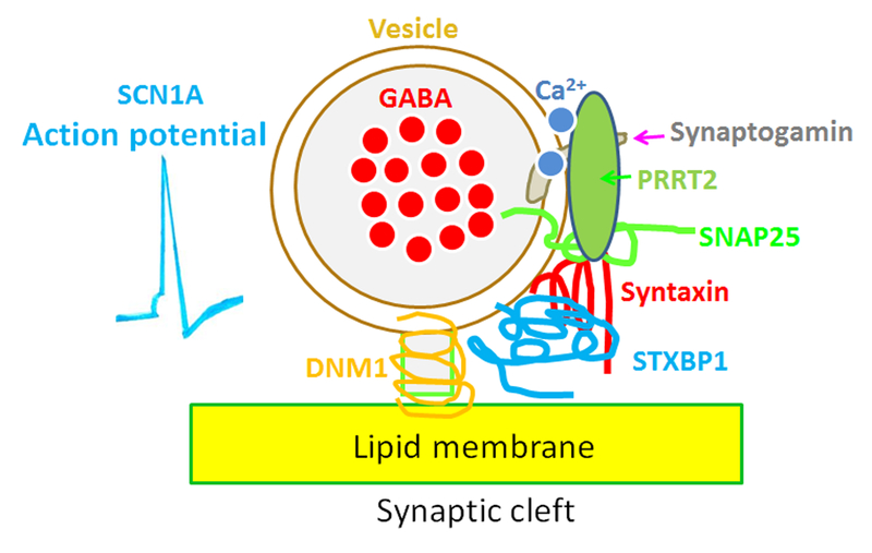 Figure 3.