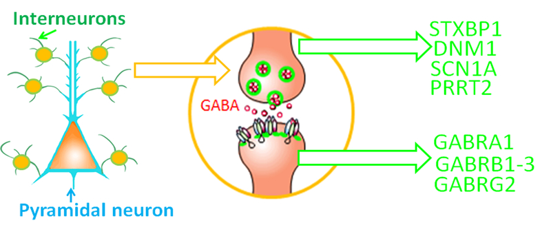 Figure 2.