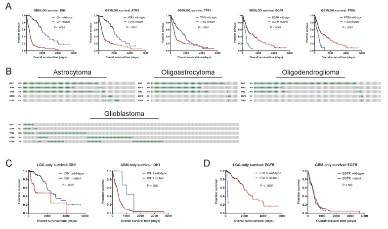 Figure 1—figure supplement 7.