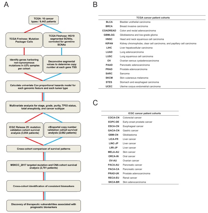 Figure 1—figure supplement 1.