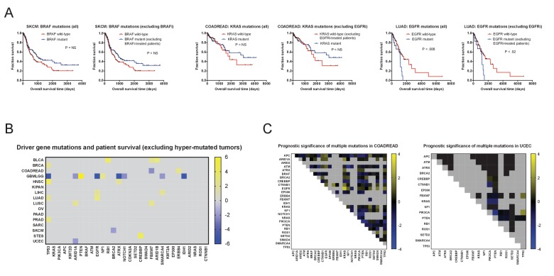 Figure 1—figure supplement 5.