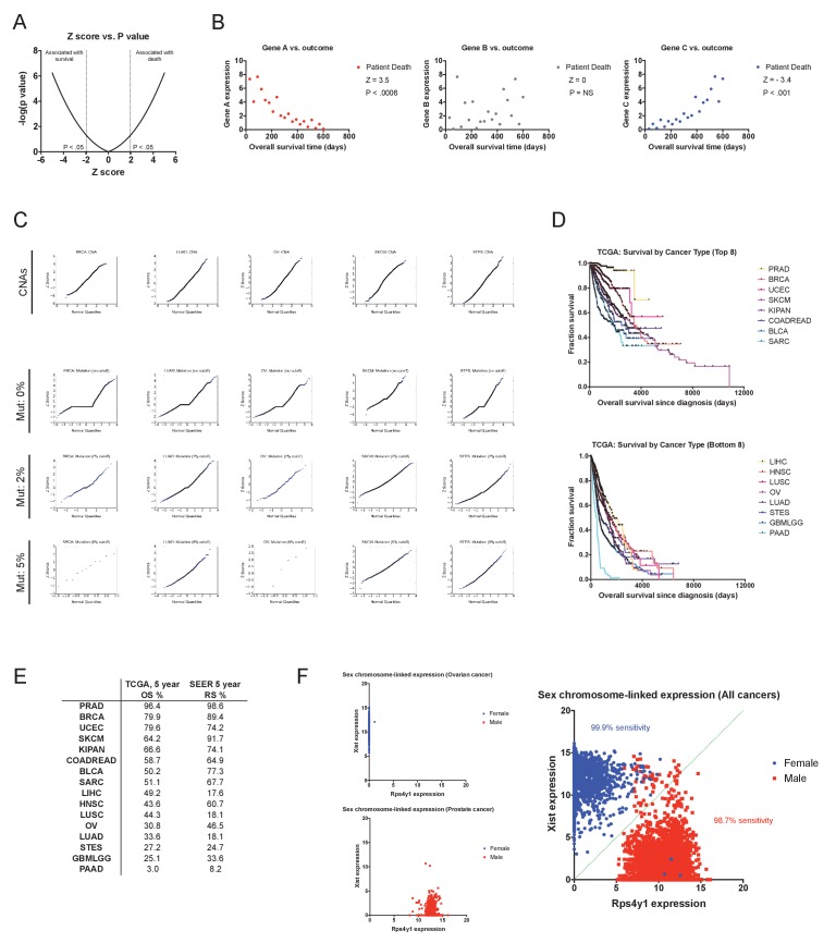 Figure 1—figure supplement 2.