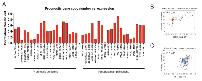 Figure 3—figure supplement 3.