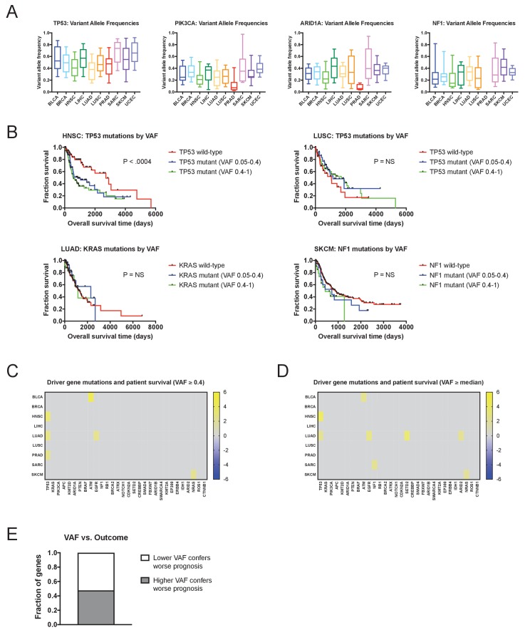 Figure 1—figure supplement 6.