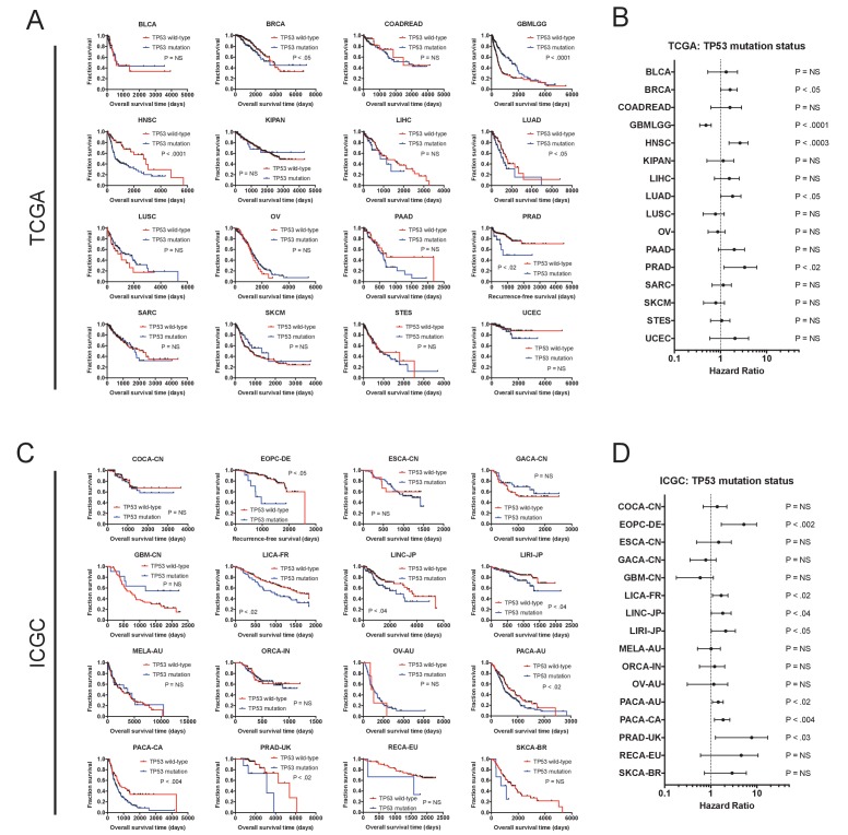 Figure 1—figure supplement 3.