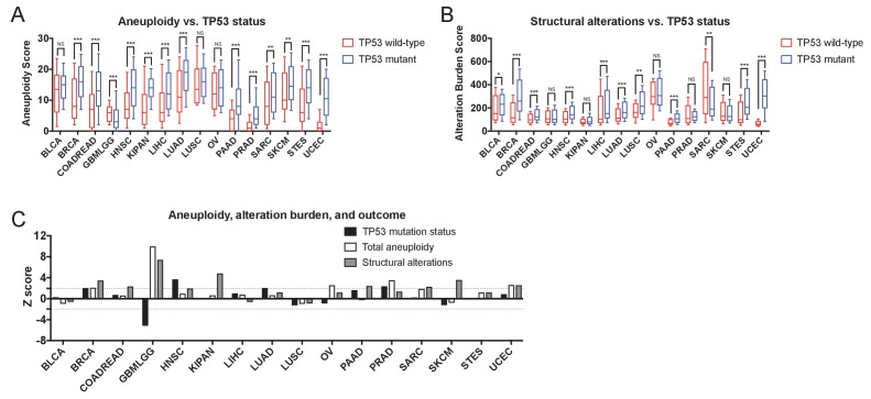 Figure 3—figure supplement 1.