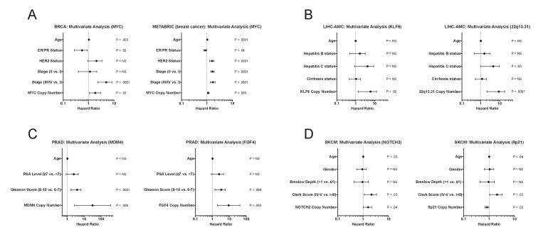 Figure 5—figure supplement 1.