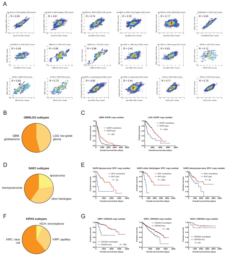 Figure 2—figure supplement 4.