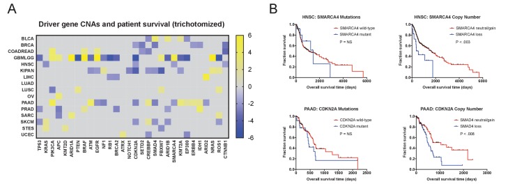 Figure 2—figure supplement 1.