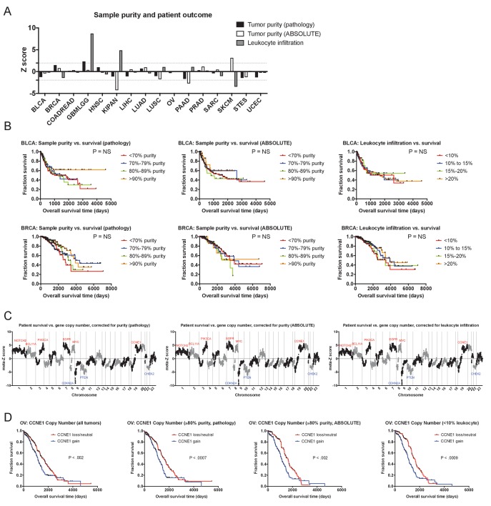 Figure 2—figure supplement 2.